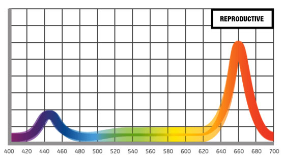 top-light-spectrum-reproductive